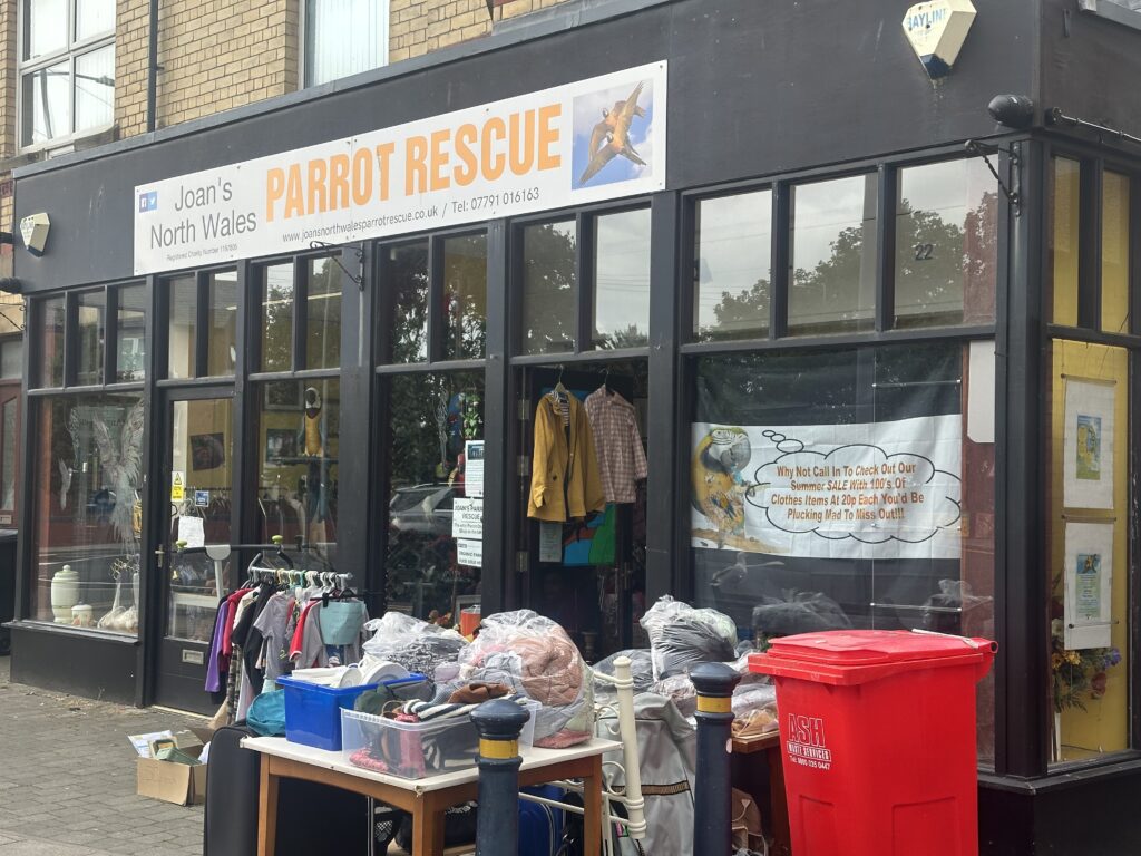 Parrot Rescue