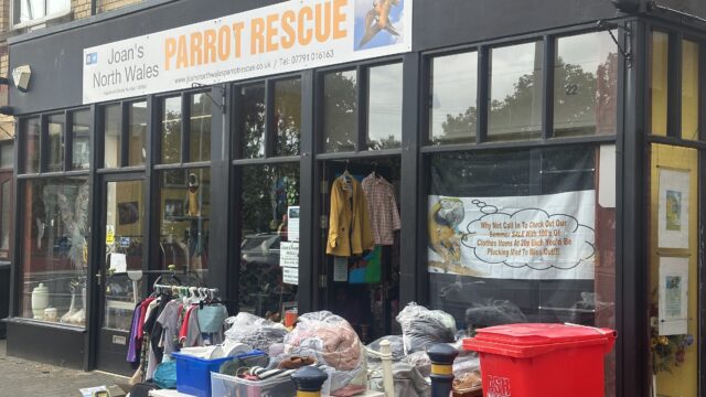 Parrot Rescue
