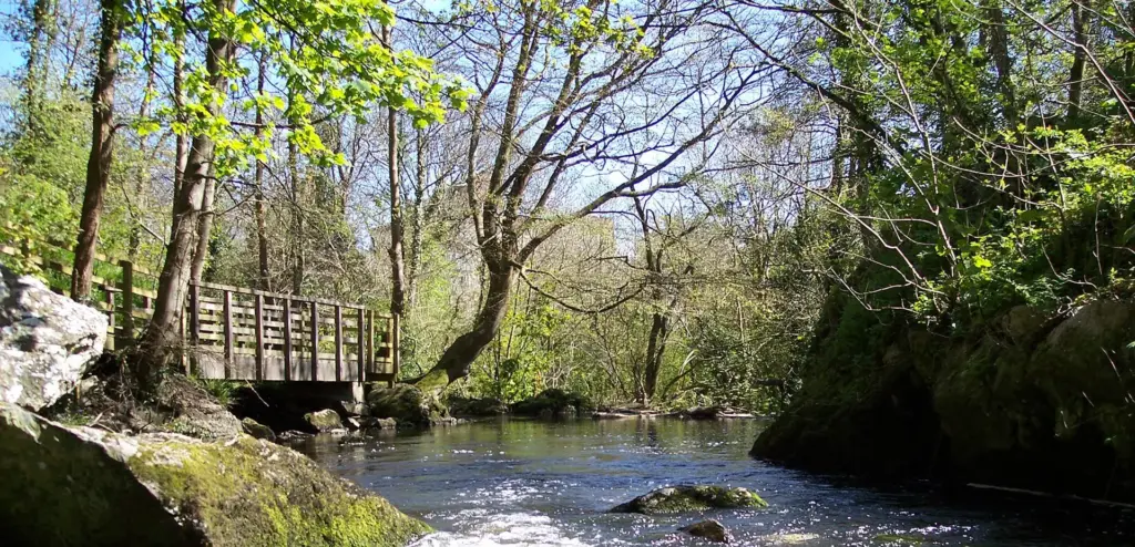 Dingle Nature Reserve