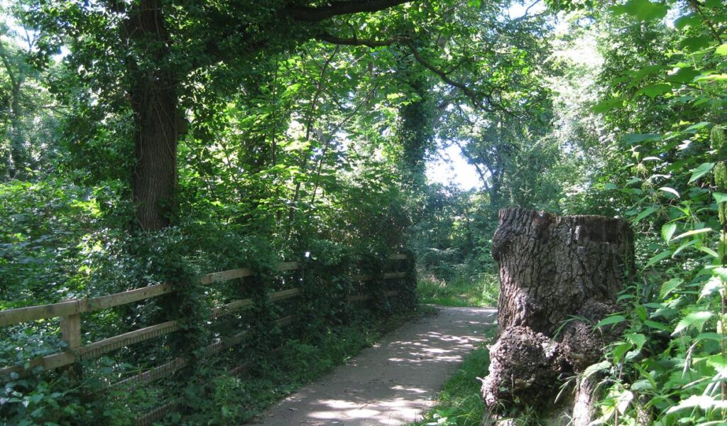 Fairy Glen