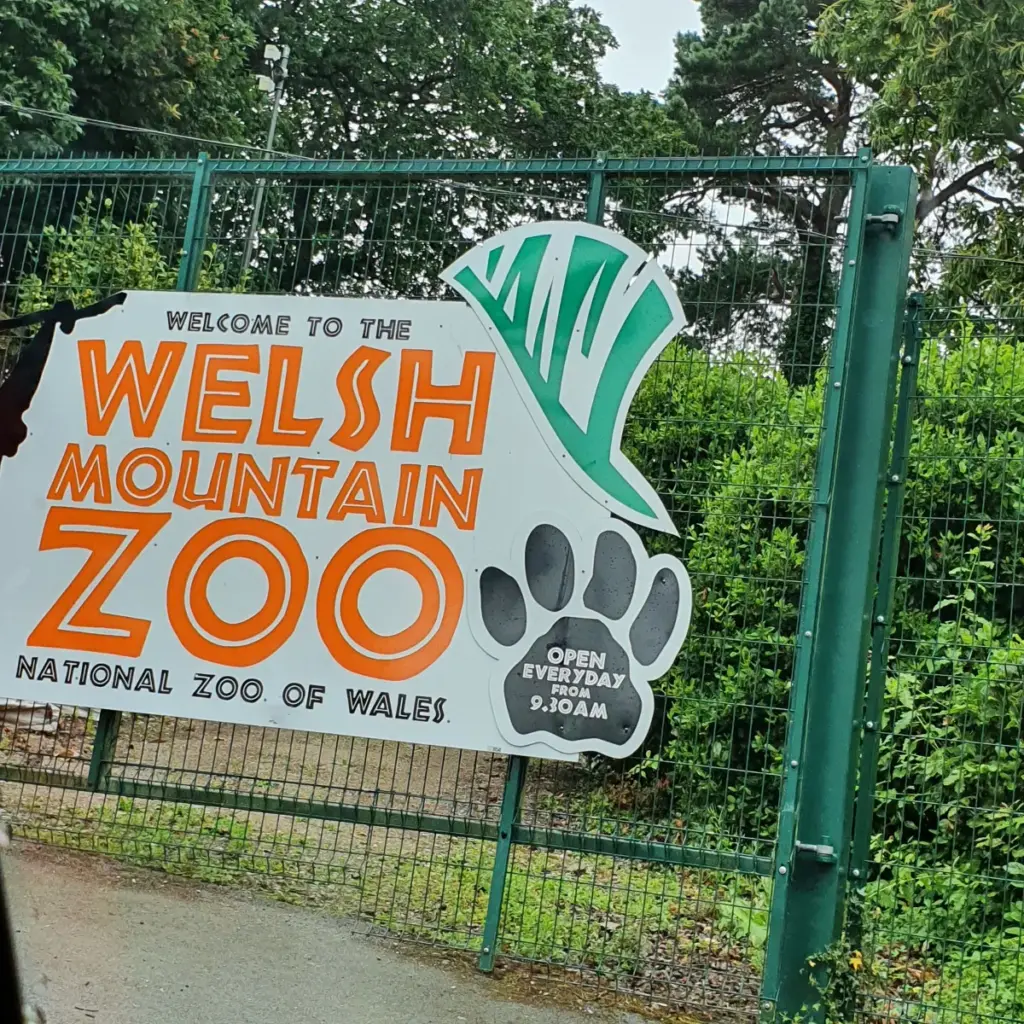 Welsh Mountain Zoo